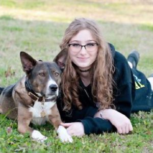 Master Certified Dog Trainers In Chattanooga